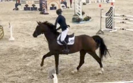 L/E-stevne Sandnes og Jæren Rideklubb 24-26.august 2018